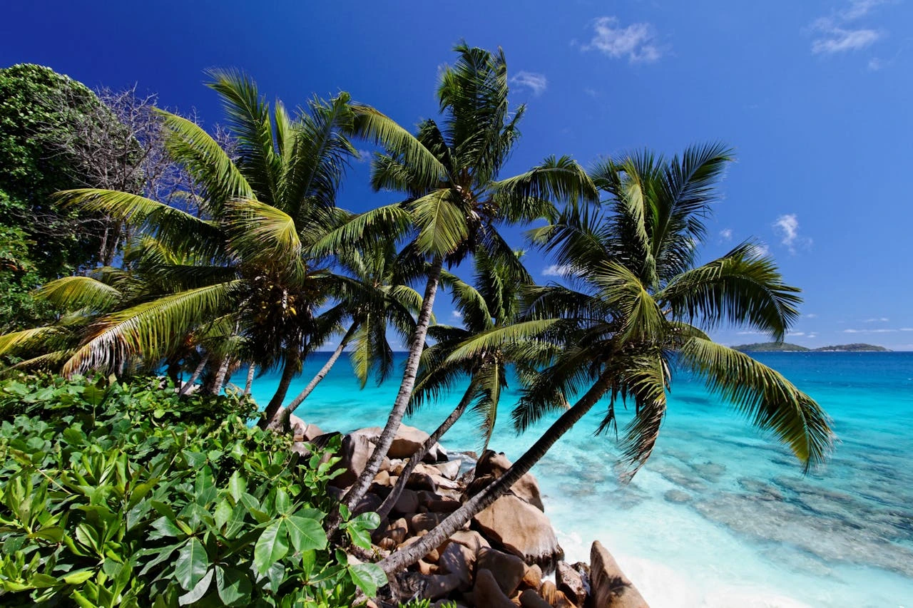 the seychelles luxury beauty private island